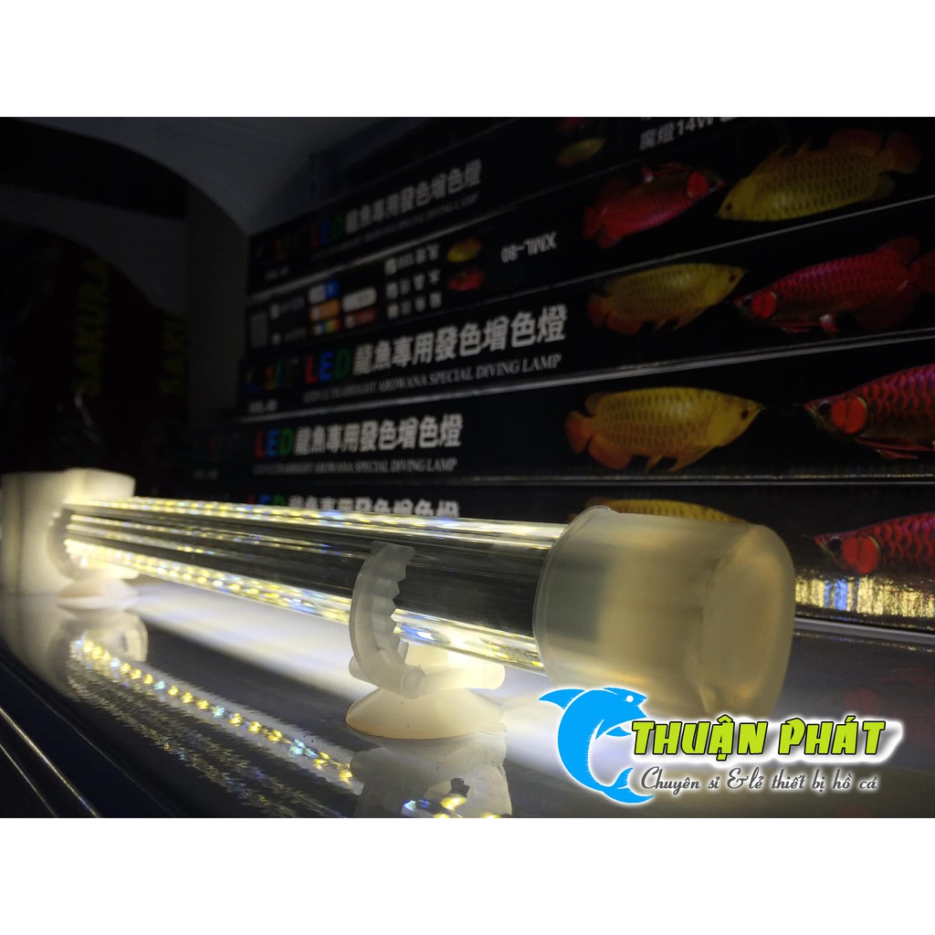 Đèn Hồ Cá XuanMeiLong XML 60 - 2 hàng Led phiên bản thủy tinh Siêu đẹp XML60 cm