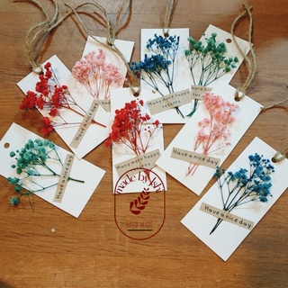 Túi giấy kraft (tag hoa baby khô)