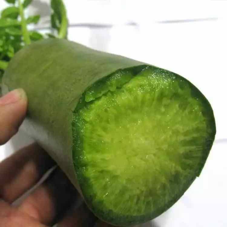 Củ Cải Xanh Đường