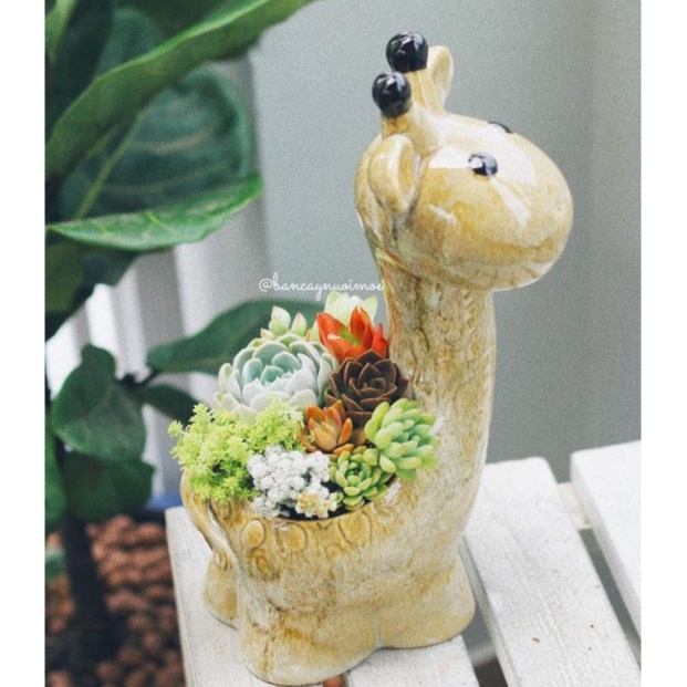 châu đất nung tráng men hươu cao cổ chuyên trồng sen đá , xương rồng, cây cảnh mini