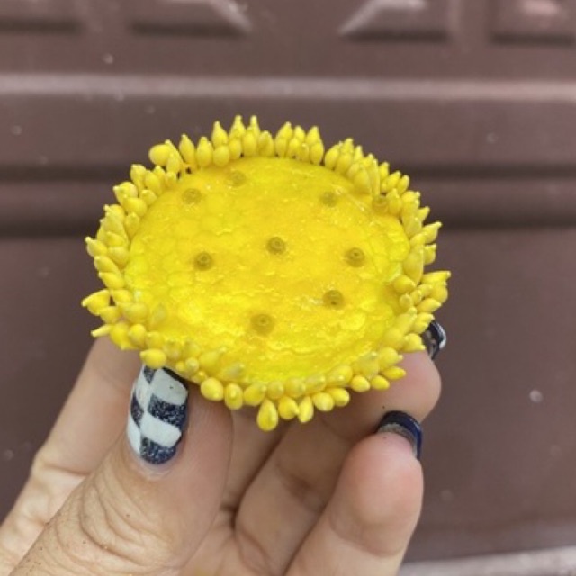 Nhụy hoa sen giả làm hoa handmade