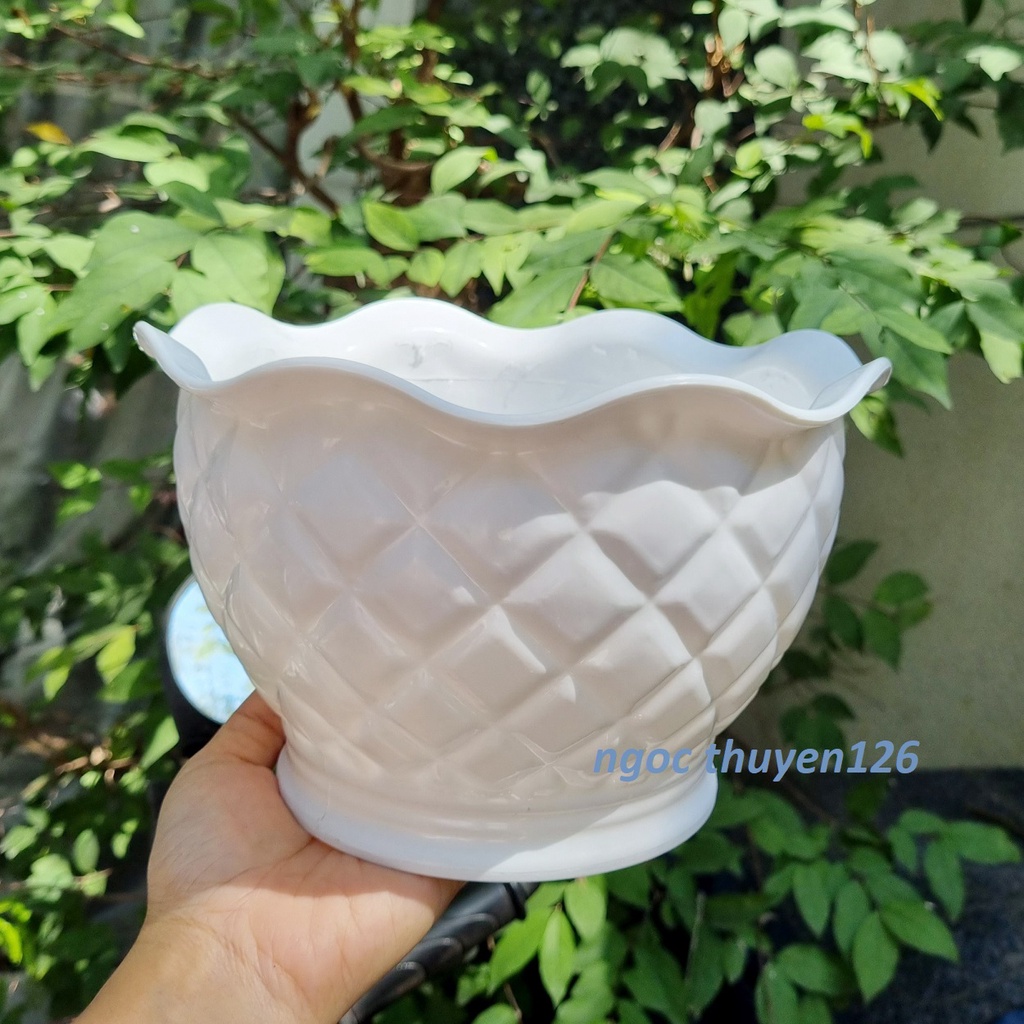 Bộ 02 hoặc 04 chậu quả dứa trồng hoa màu trắng nhựa dày đẹp size trung 21x13x13cm