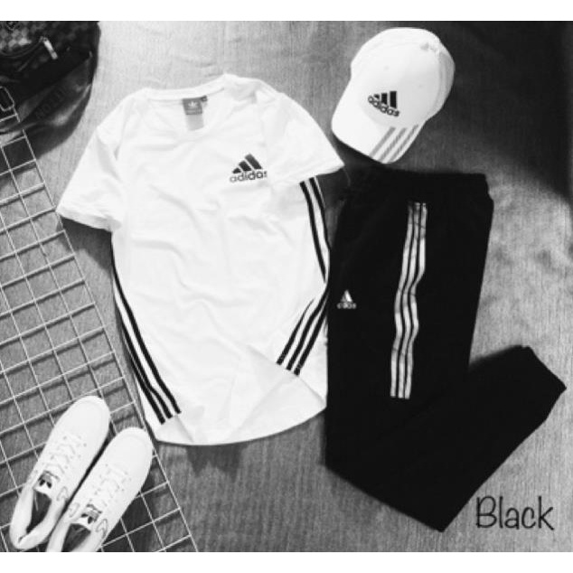 Album 124 - ÁO THUN CAO CẤP DAS SPORT VẠT BẦU 2 MÀU