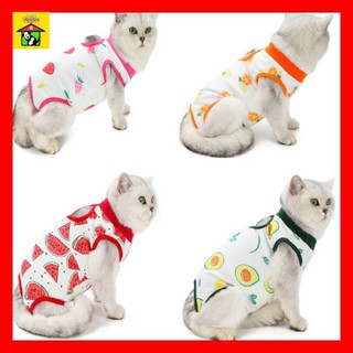 🌸 áo sát nách cotton khử trùng sau phẫu thuật cho thú cưng, áo chống liếm, chống đi đêm chó mèo