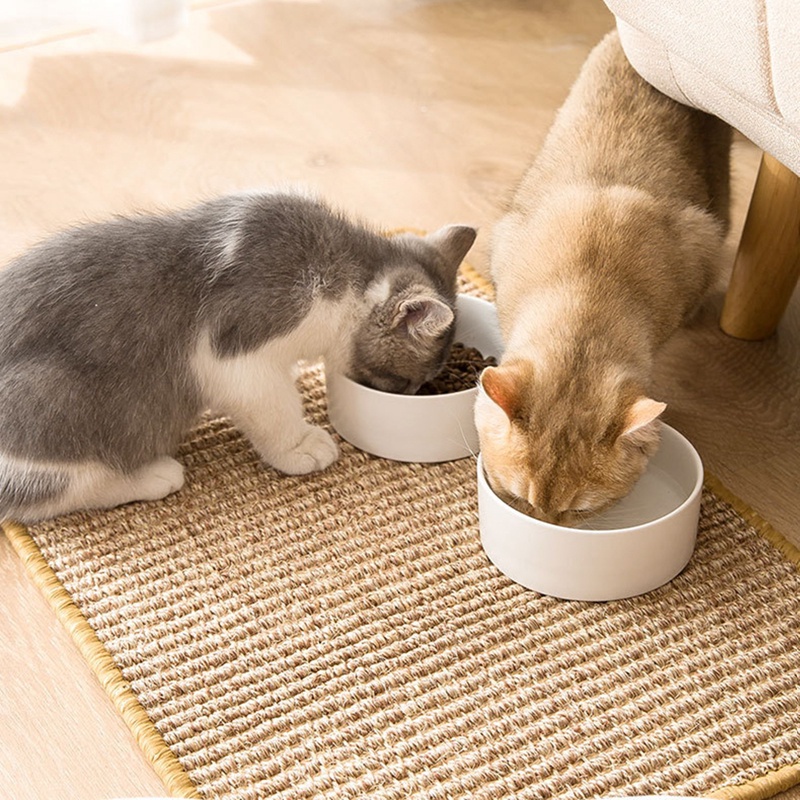 Thảm cào móng cỡ lớn chống trầy xước cho mèo cưng