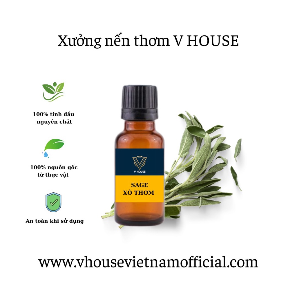 Tinh dầu xô thơm - Sage
