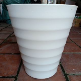 Combo 5 chậu gân cao và 5 chậu 31cm màu