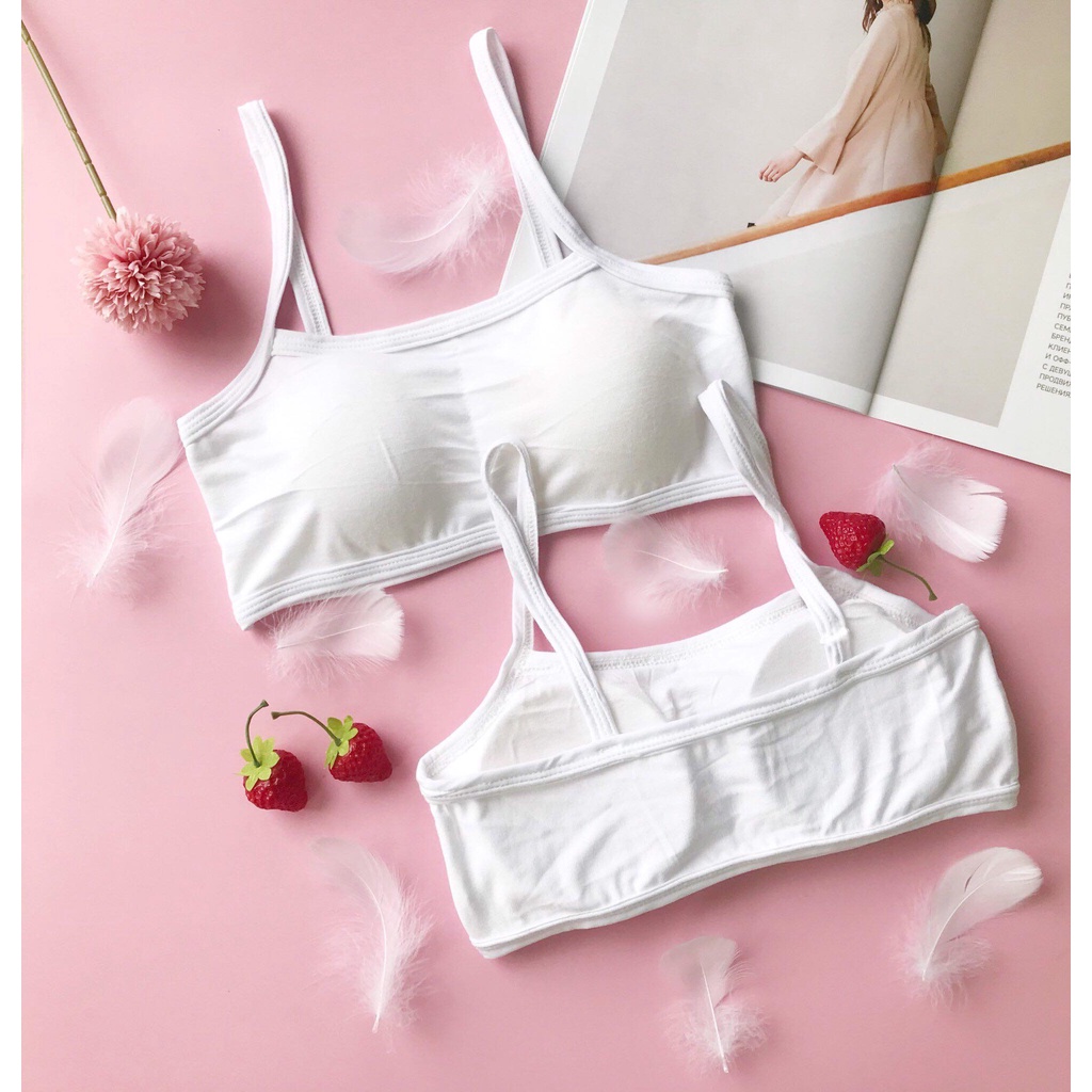 Áo Lót Nữ, Áo Bra Cotton Học Sinh Cao Cấp Có Mút Đệm Ngực Siêu Thấm Hút
