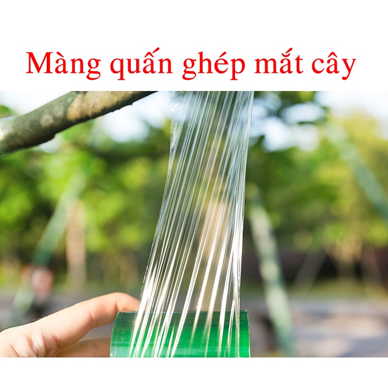 Màng PE quấn mắt chiết ghép cây cảnh, cây ăn quả và cây hoa