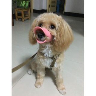 Rọ mõm mỏ vịt cho chó vừa và nhỏ