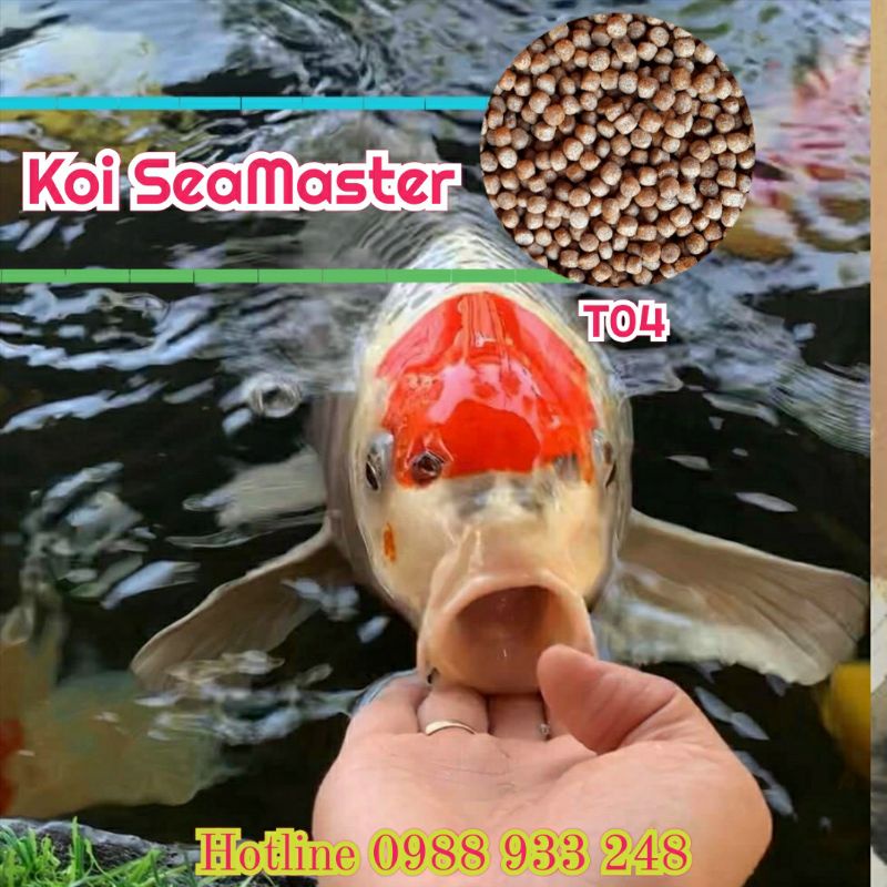 Cám cá Koi SeaMaster| Túi 1Kg