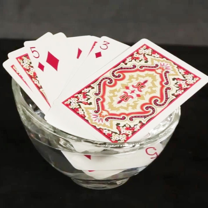 Combo 2 bộ bài poker nylon hoa văn Singapore