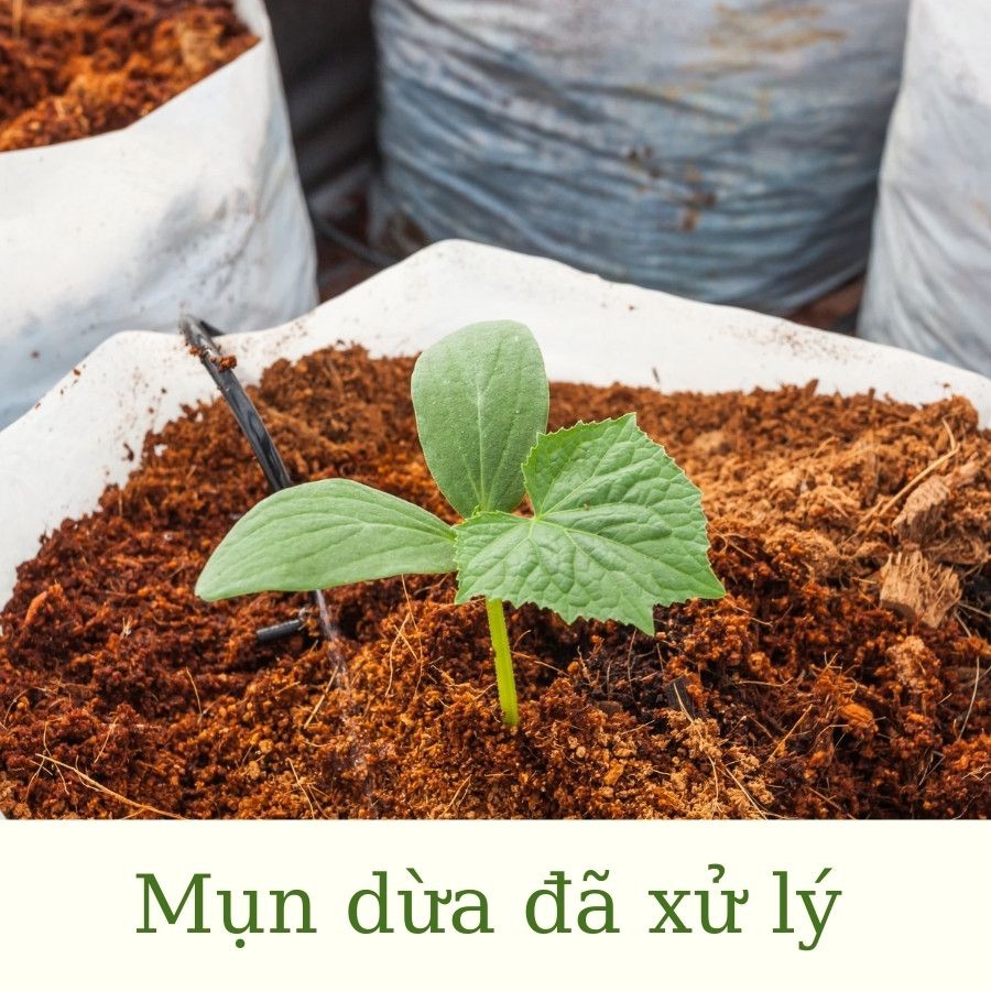 Mùn dừa đã qua xử lý Sfarm gói 5dm3