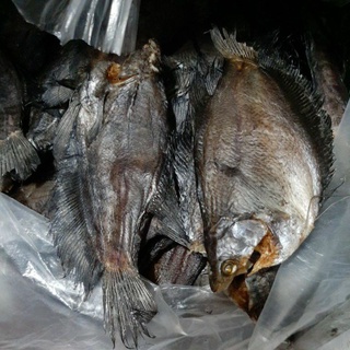 Khô cá sặc trà vinh,ngon,vừa ăn 500gr. 140k