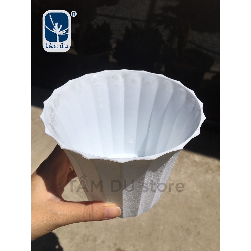 Chậu tròn loe nhựa trắng nhỏ 150x115mm