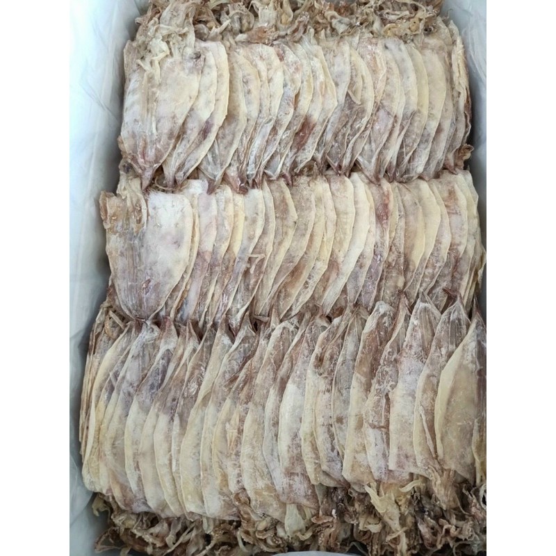 Mực Câu Mini Hàng Chuẩn | BigBuy360 - bigbuy360.vn