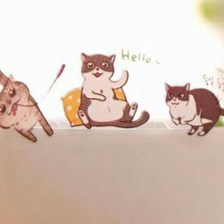 BỘ 6 STICKER HÀN QUỐC MÈO XÁM