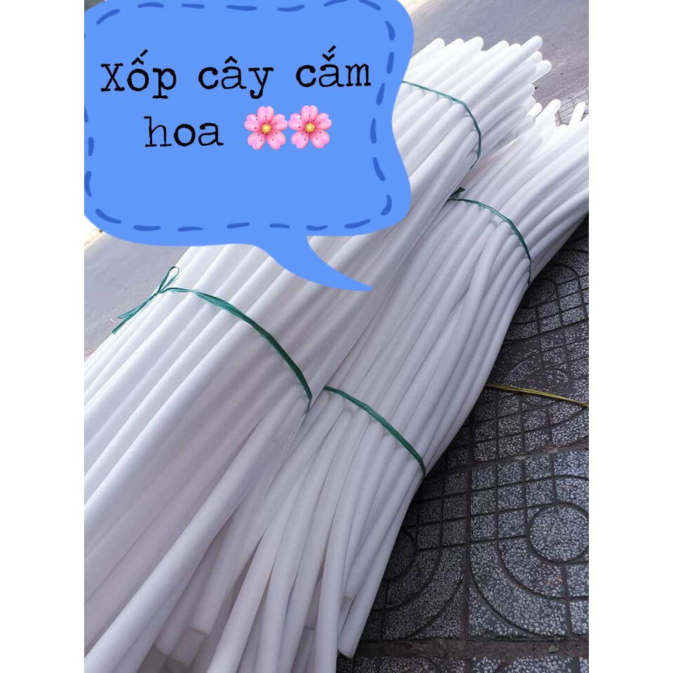 Mút xốp cắm hoa 50cm