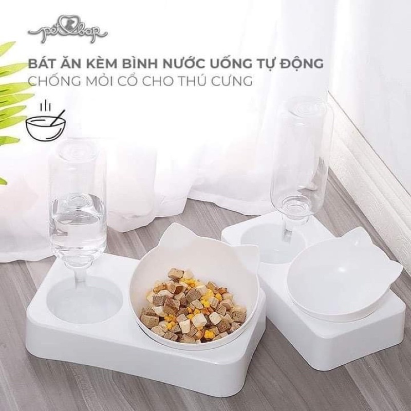 Bát ăn chống gù cho thú cưng