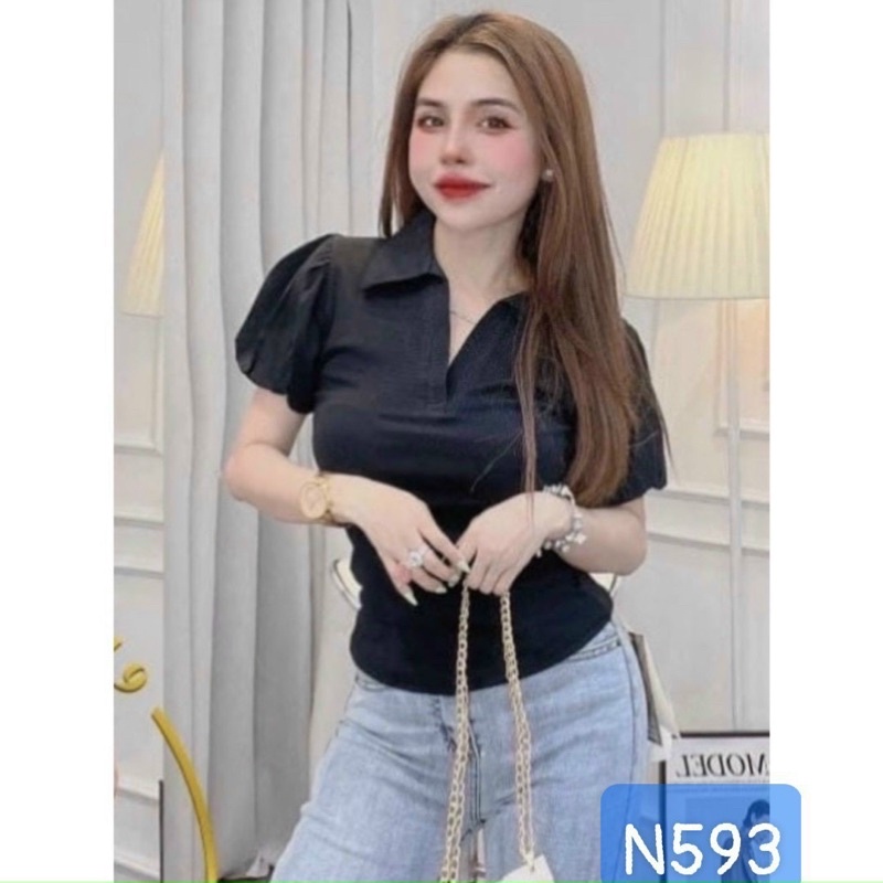 Áo thun borip tay phồng SL alohashop91