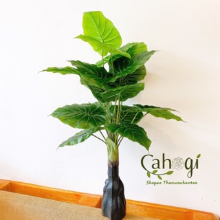 Cây Giả - Cây Khoai Nước Cỡ Lớn