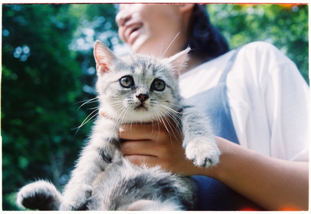 [Mã ELFLASH5 giảm 20K đơn 50K] [Hanoi Film] Film Kodak Gold 100