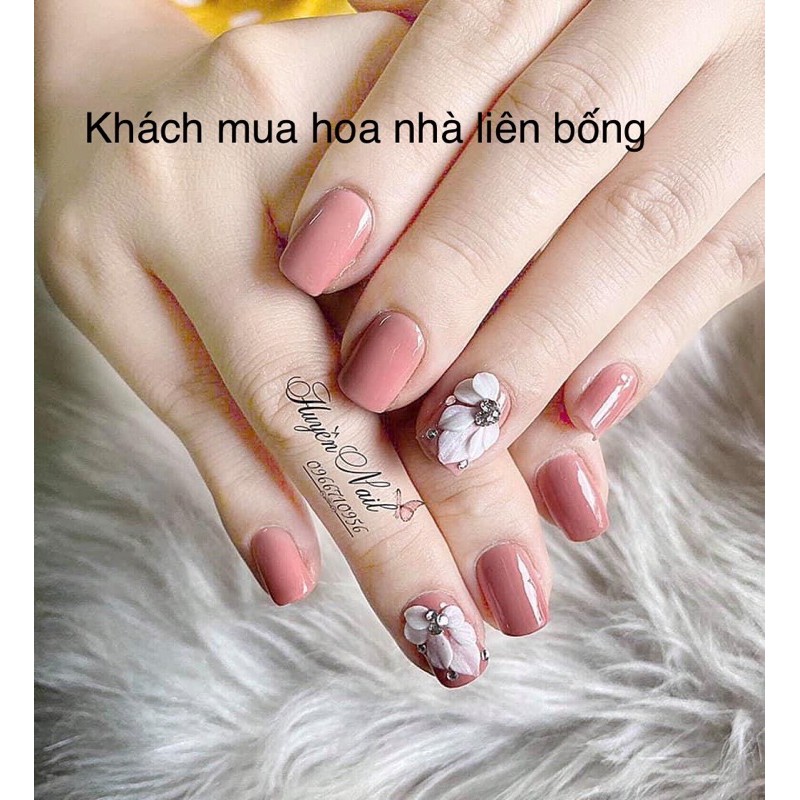 hoa bột nail- hoa góc móng