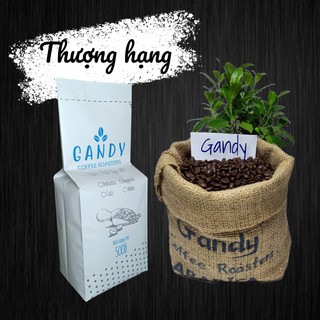Cà phê hạt, cà phê rang xay - gandy thượng hạng