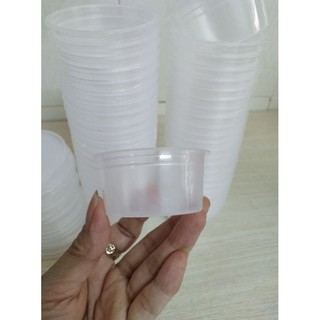 Lốc 50 hộp bánh flan số 2
