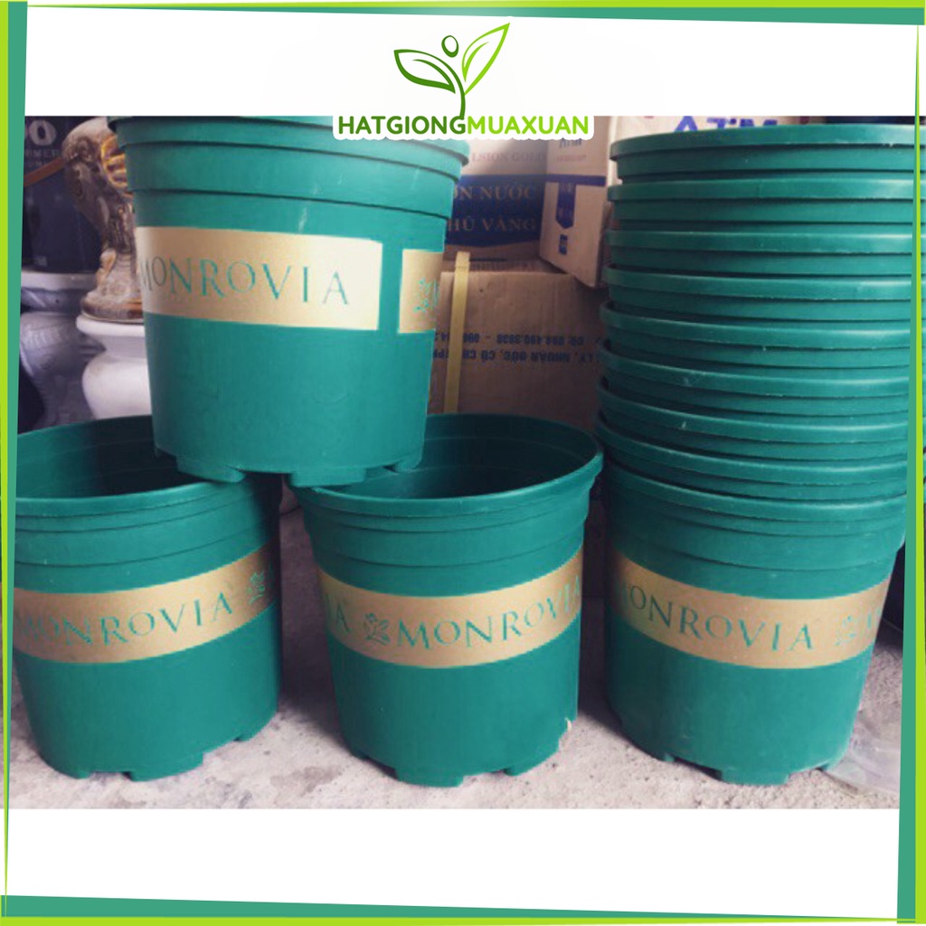 [HOT] Chậu nhựa MONROVIA loại 3GL VIỆT NAM c/lượng, hg C/ty.