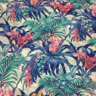 Vải cotton Hàn Phan Hằng