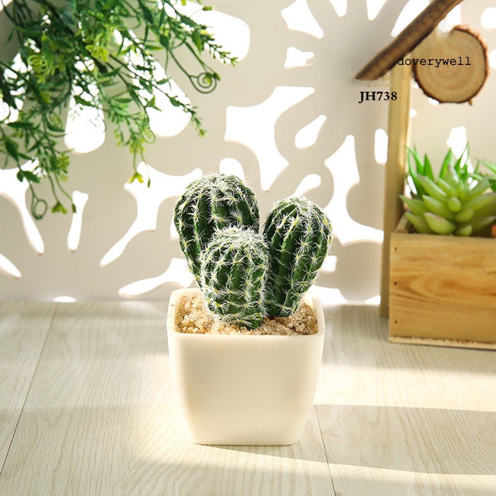 Cây xương rồng giả trang trí mini