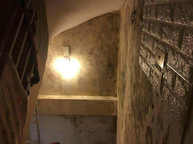 Giấy Dán Tường- Xốp dán tường 3D dày 4mm sang trọng chống ẩm mốc cách âm cách nhiệt | BigBuy360 - bigbuy360.vn