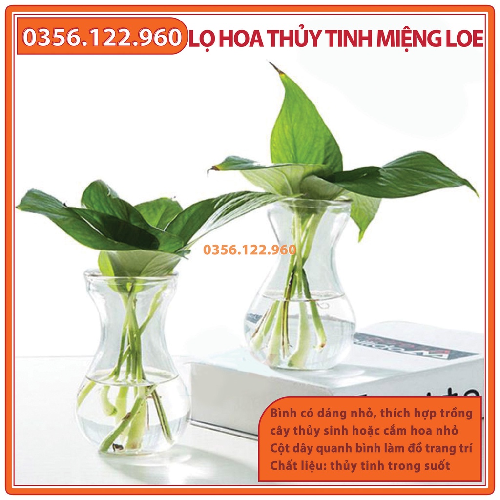 Lọ hoa thủy tinh miệng loeloe