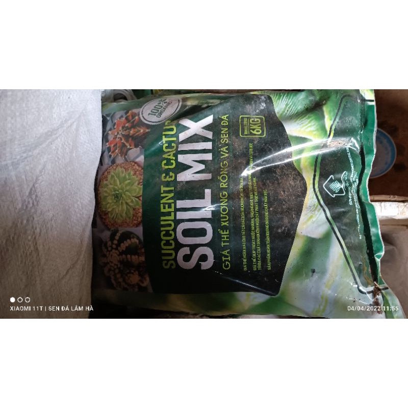 Đá soil mix giá thể trồng sen đá xương rồng