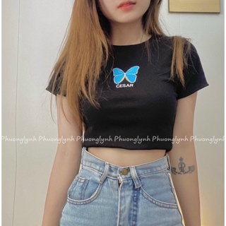 Áo croptop bướm siêu xinh