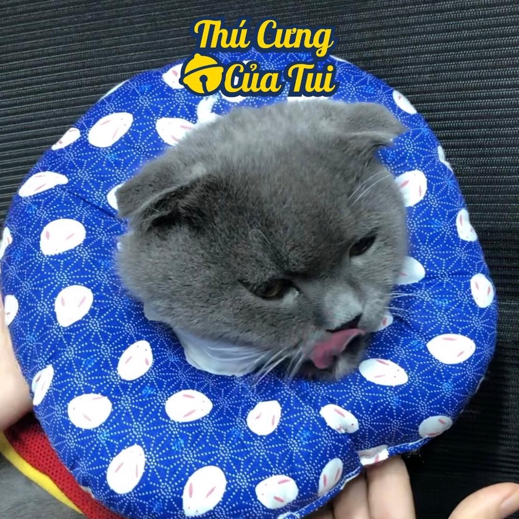 Vòng Cổ Elizabeth, Gối Chống Liếm Cho Thú Cưng Chó Mèo - Thú Cưng Của Tui