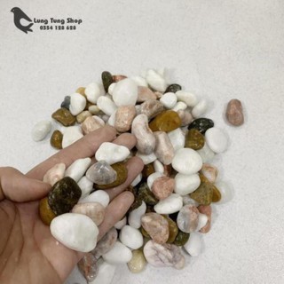 Đá sỏi hỗn hợp ( chọn size )
