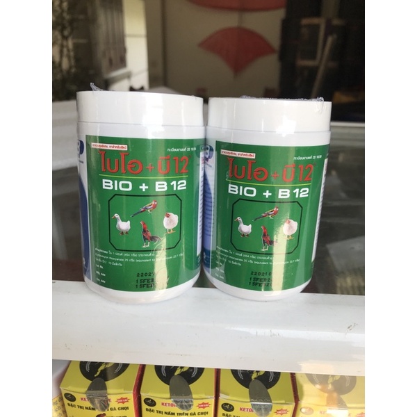 BIO-B12  Thái Lan úm gà con, phòng dịch