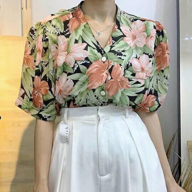 combo trần hà