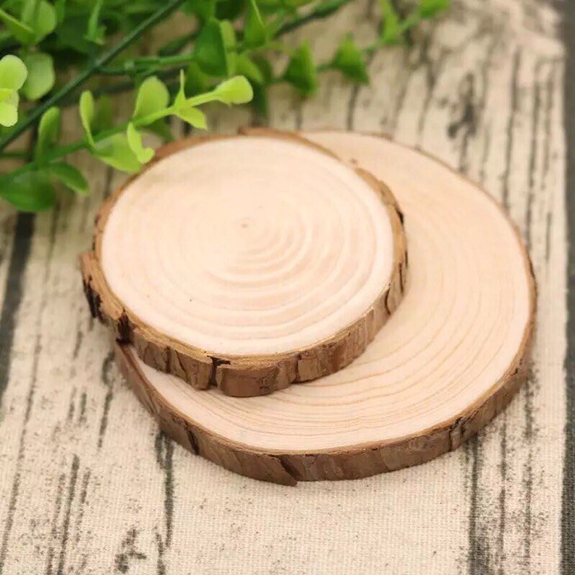 Khoanh, miếng gỗ decor, setup, chụp mẫu