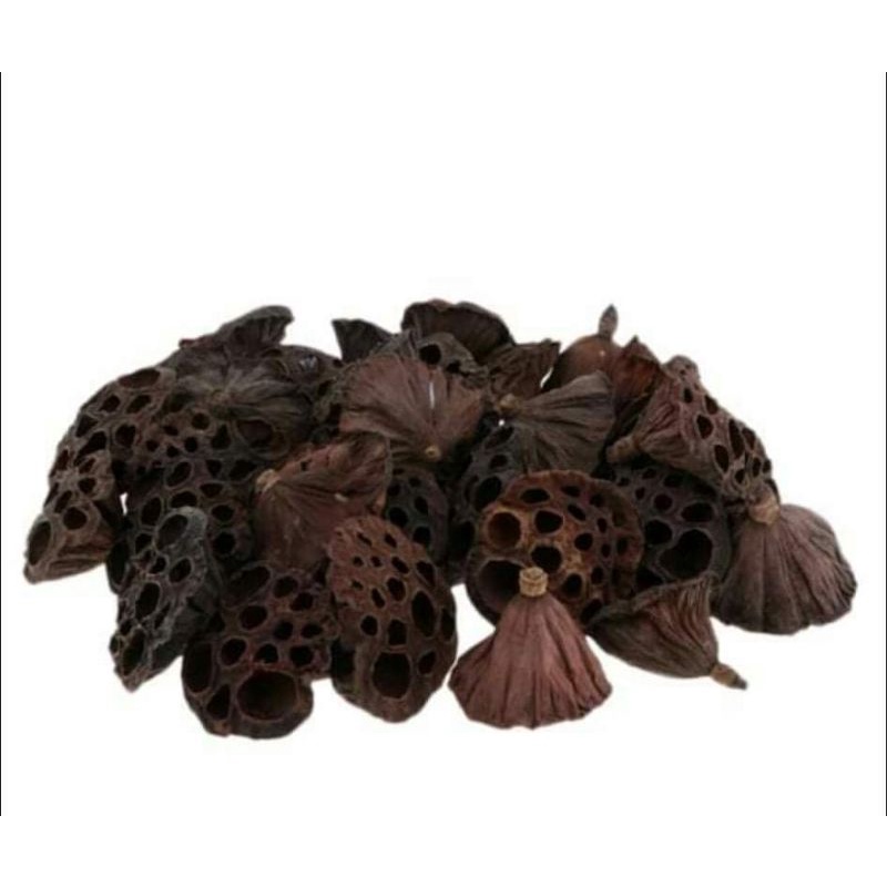 Đài hoa sen khô tự nhiên trang trí decor