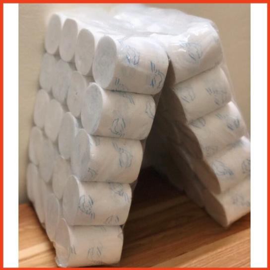 20 cuộn giấy vệ sinh không lõi