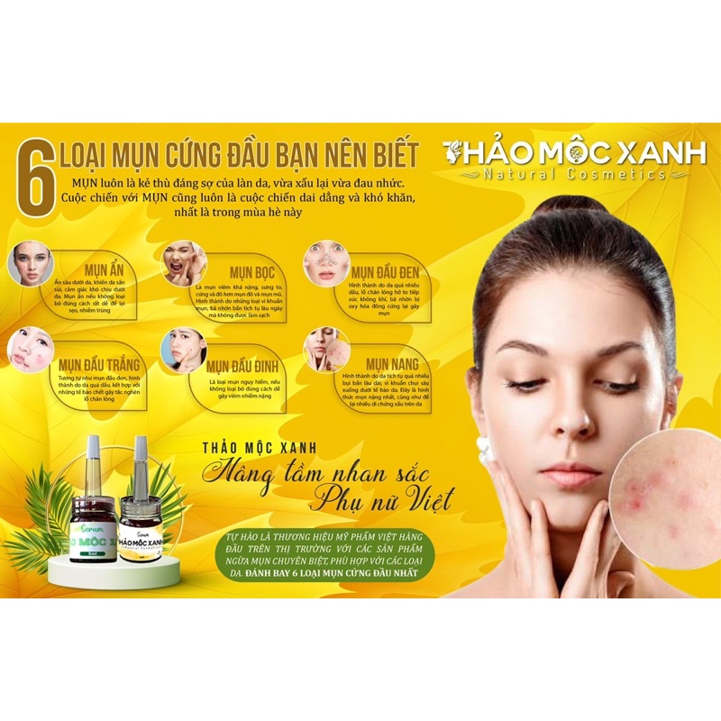 Combo thảo mộc xanh