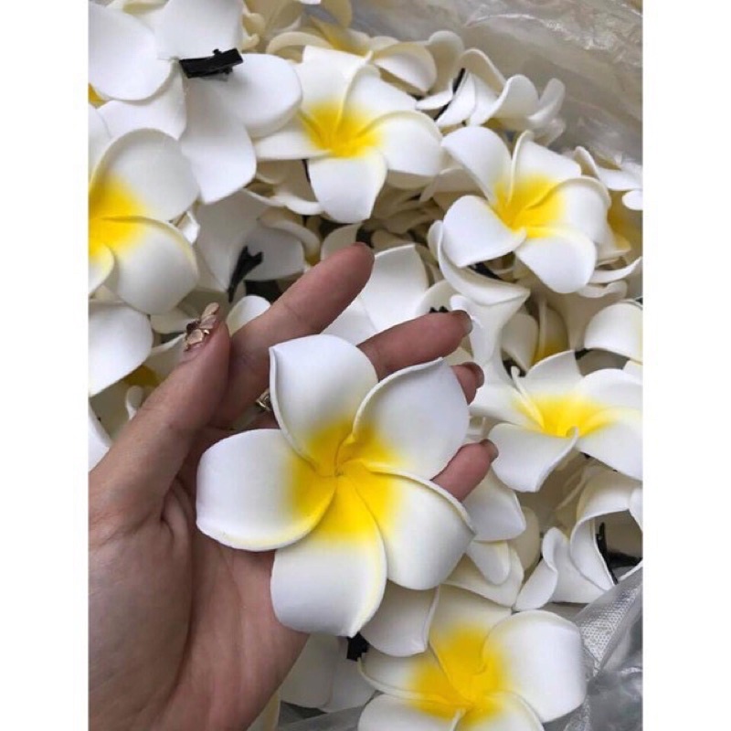 Hoa cài đầu đi biển