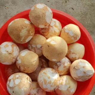 Mứt dừa xiêm non