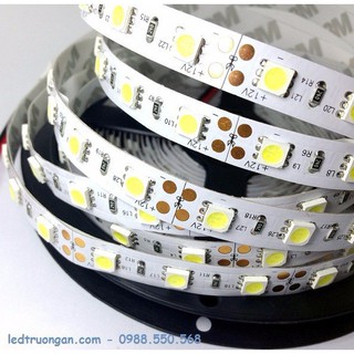 LED DÂY DÁN 5050 - CuỘN 5M