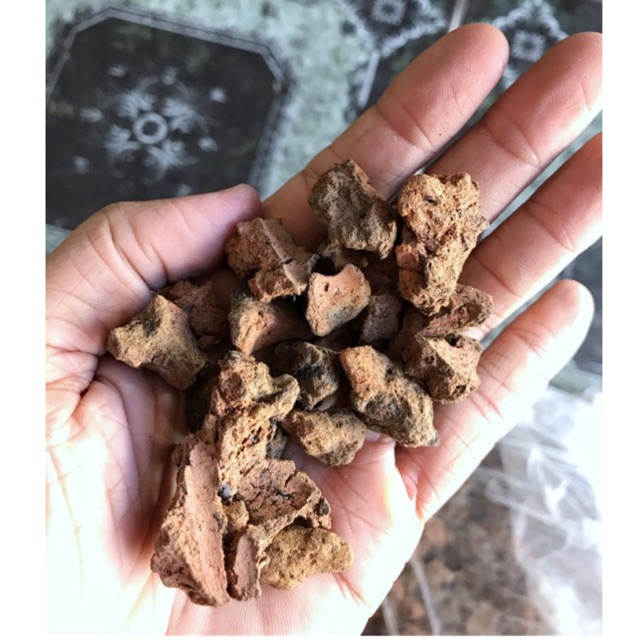 THAN ĐÁ ĐÃ XỬ LÝ - LÀM SẠCH - LÂU THAY NƯỚC - CHỐNG ĐÓNG RÊU HỒ CÁ 800g