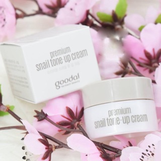 Kem ốc sên Snail Tone Up Cream