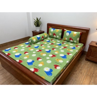 Bộ drap thun Hàn Quốc